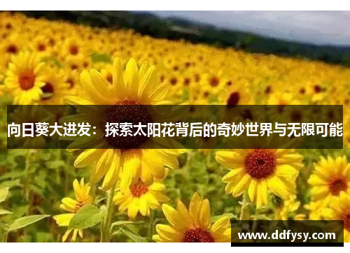 向日葵大进发：探索太阳花背后的奇妙世界与无限可能